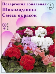 Пеларгония Шоколадница Смесь окрасок