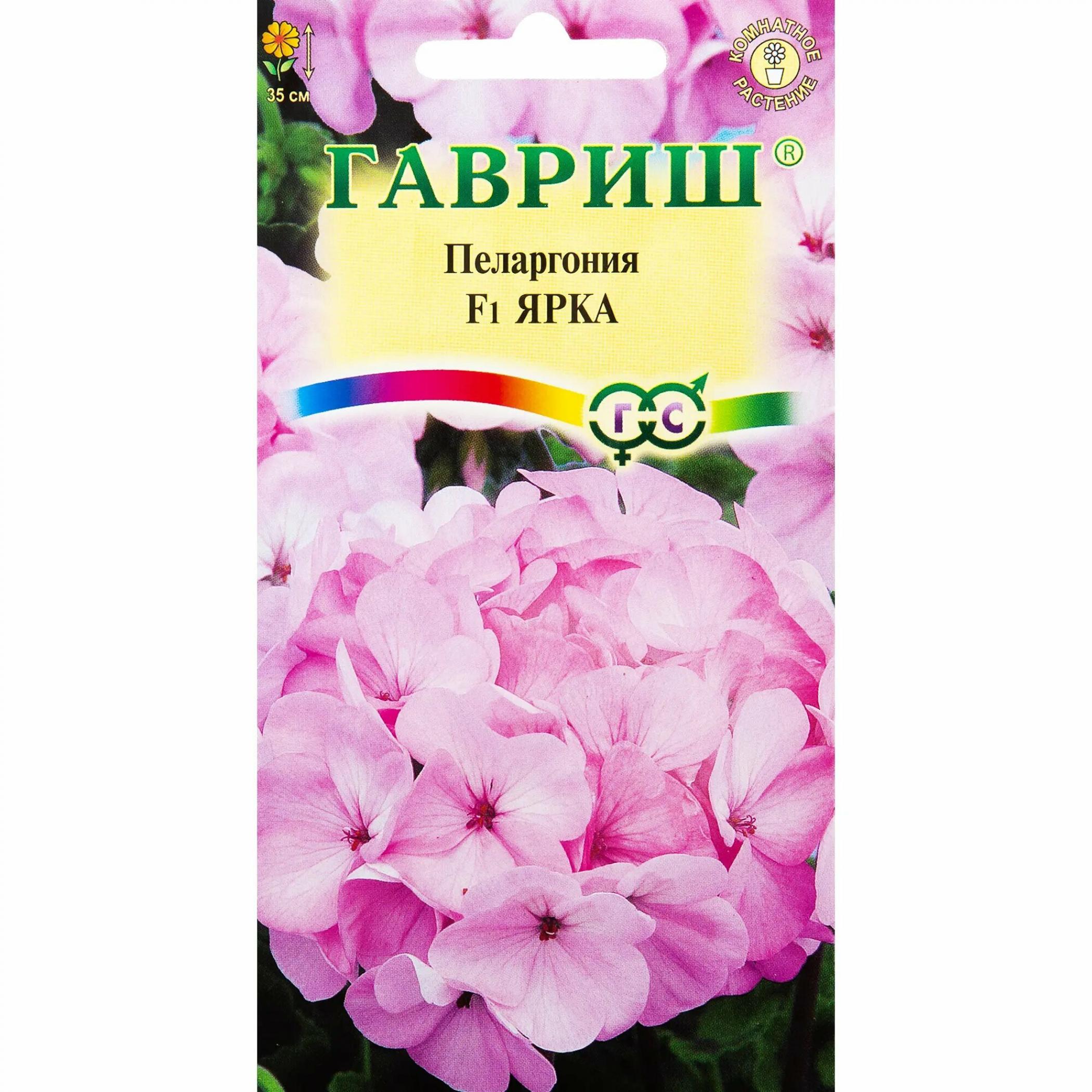 Пеларгония Ярка 4