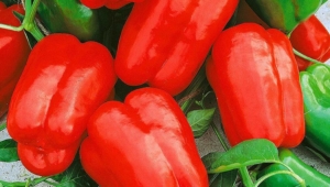 Перец Аннушка