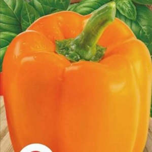 Перец Апельсиновый сок