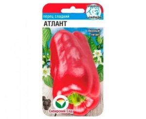 Перец Атлант