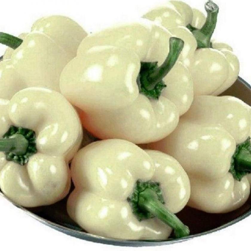 Перец Белый бык 2