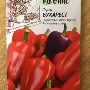 Перец Бухарест