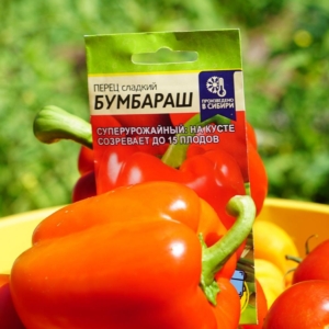 Перец Бумбараш