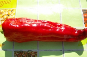 Перец Гигантский Аконкагуа