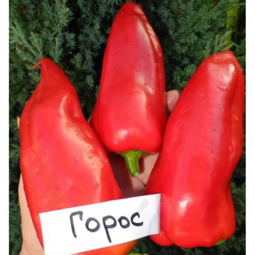 Перец Горос 2
