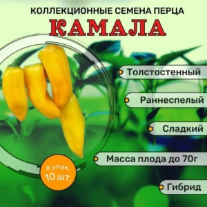 Перец Камала