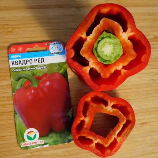 Перец Квадро ред 2