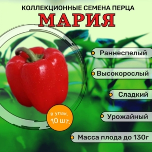 Перец Мария