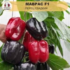 Перец Маврас