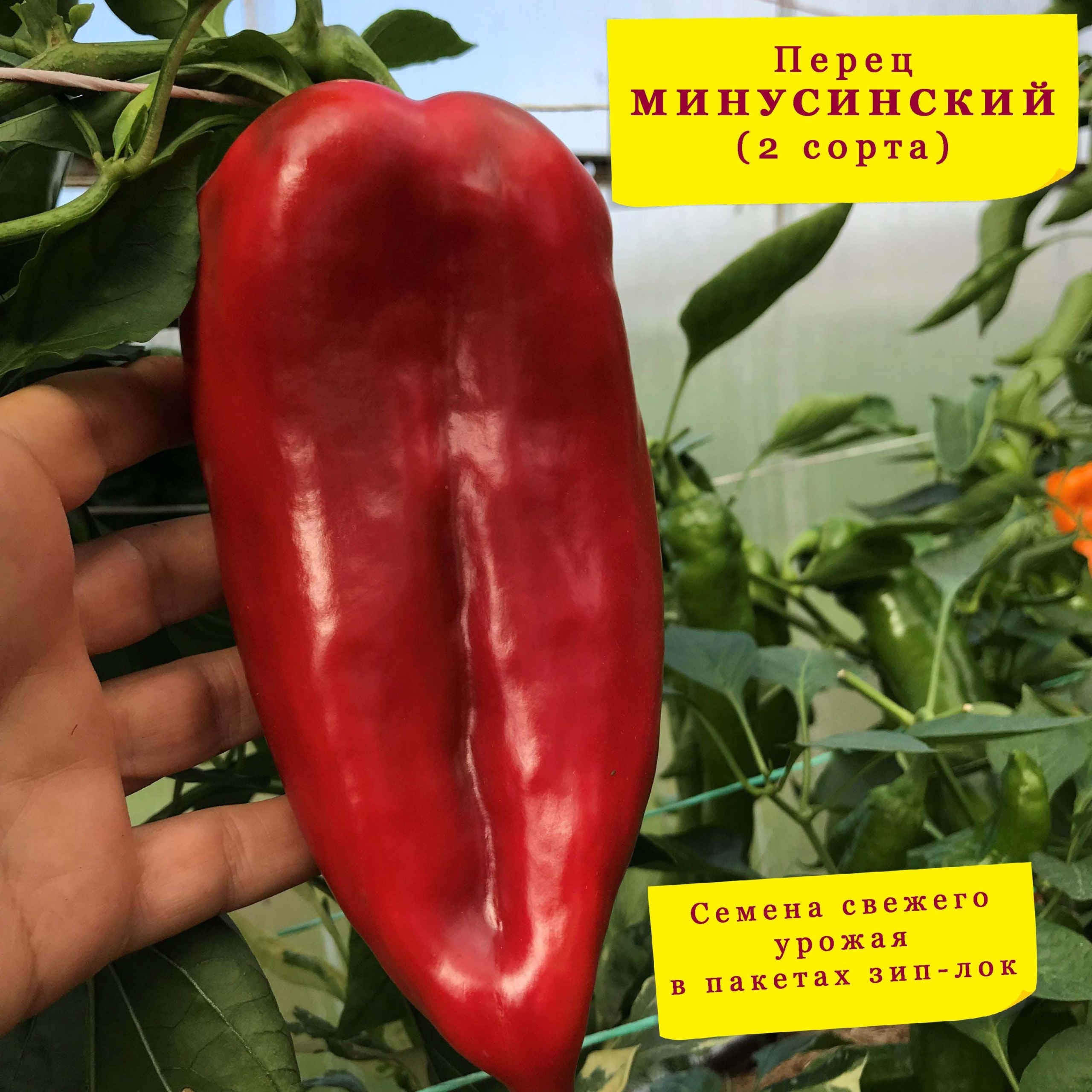 Перец Минусинский