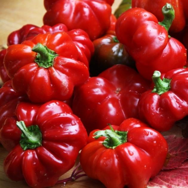 Перец Новогогошары 2
