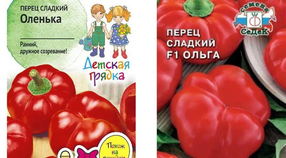 Перец Ольга 2