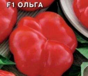 Перец Ольга