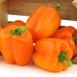 Перец Оранжевый куб