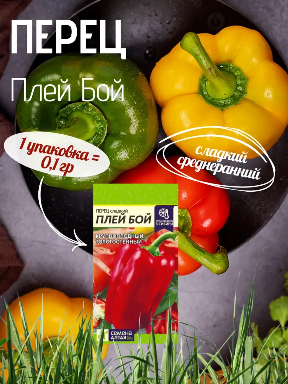 Перец Плей Бой 2