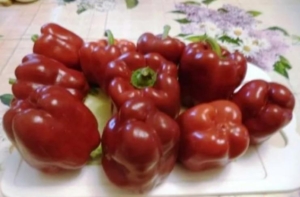 Перец Раннее чудо