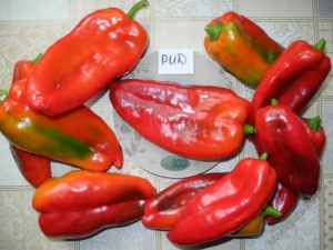 Перец Рид