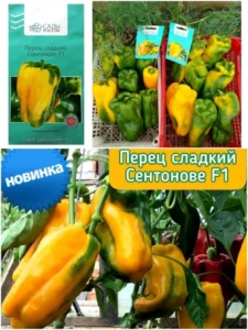 Перец Сентонове