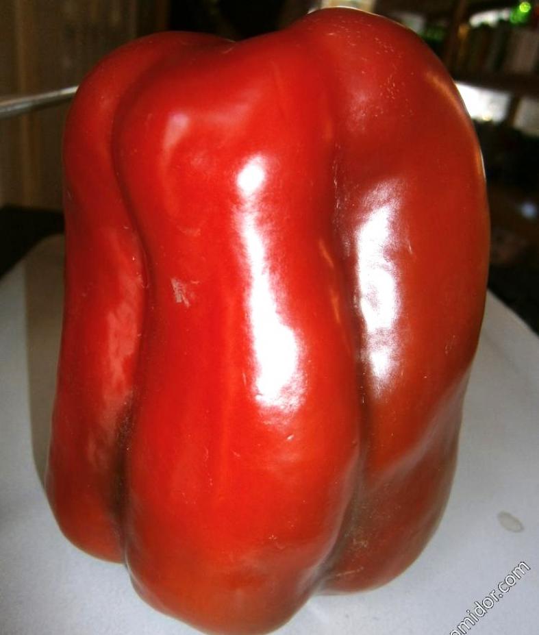 Перец Сибирский формат 2