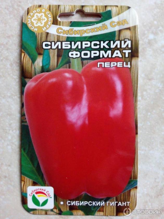 Перец Сибирский формат