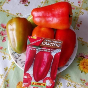 Перец Сластена