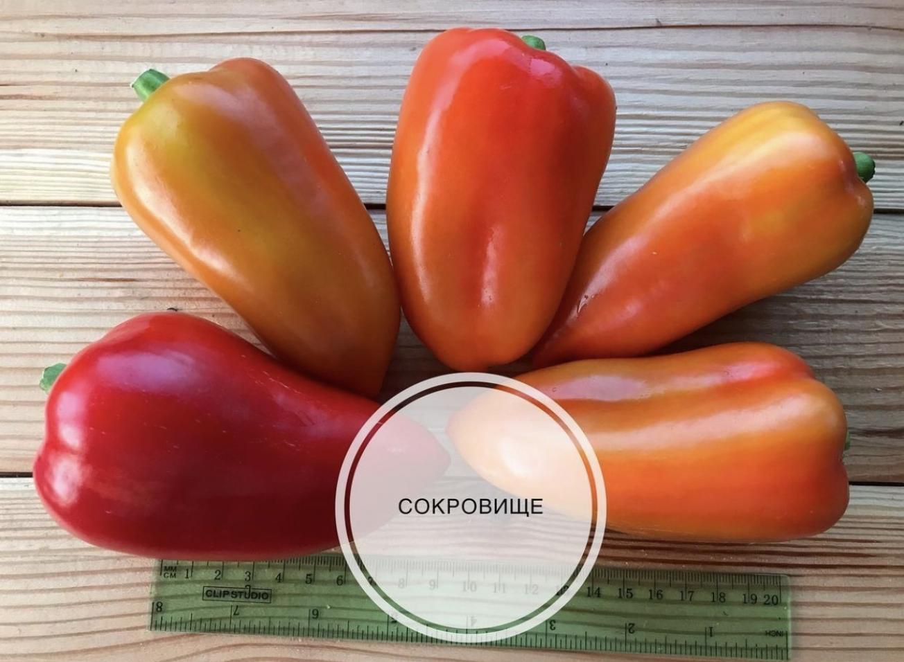 Перец Сокровище 2