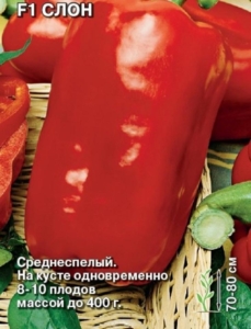 Перец Супер-Слон