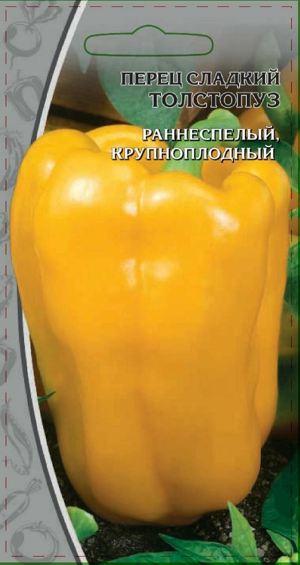 Перец Толстопуз