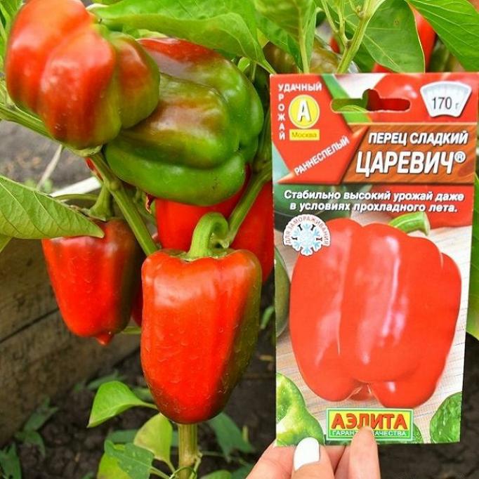 Перец Царевич