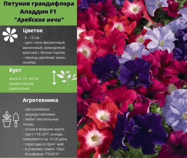 Петуния Аладдин Арабские ночи 2