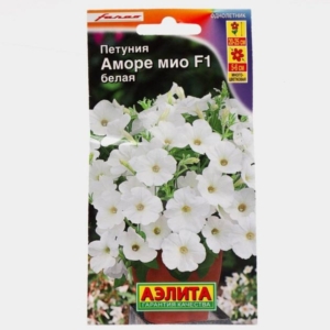 Петуния Аморе Мио Белая