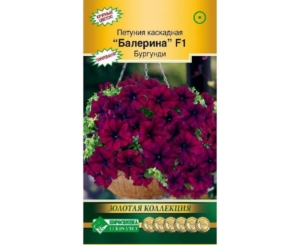 Петуния Балерина Бургунди