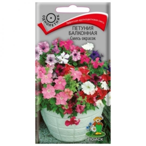 Петуния Балконная