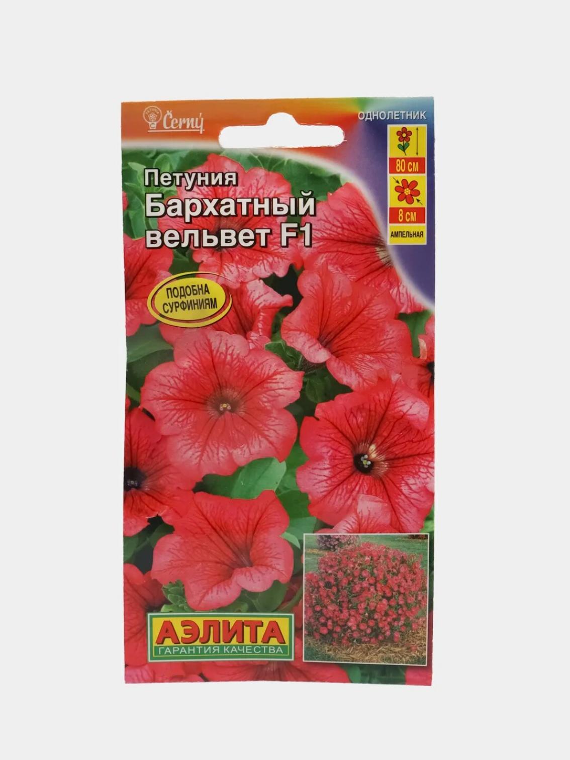 Петуния Бархатный вельвет 3