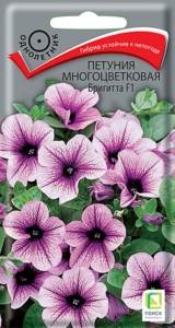 Петуния Бригитта