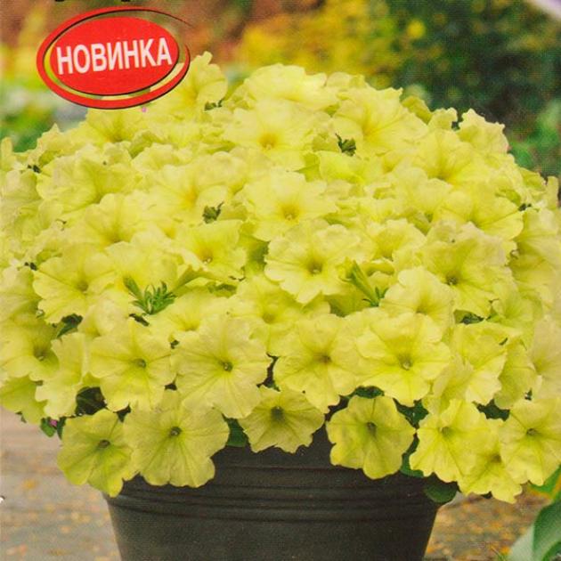 Петуния Джоконда лимонно-желтая 3