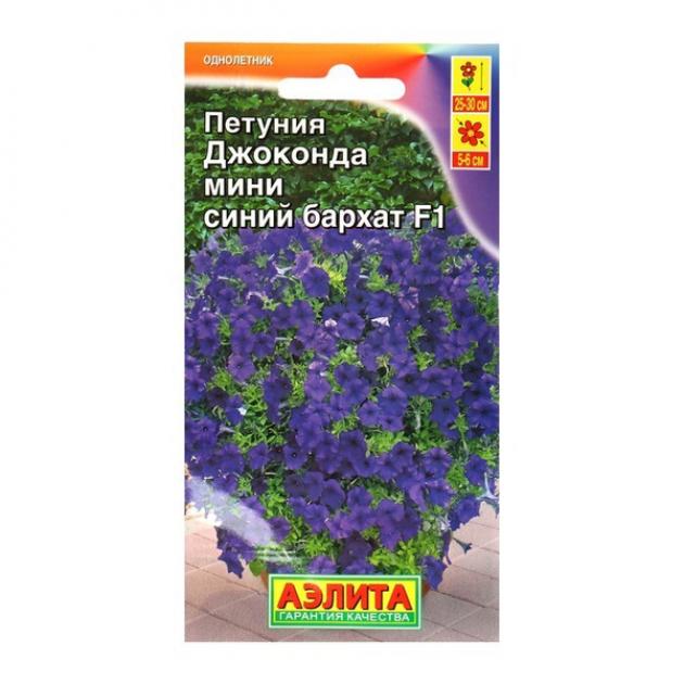 Петуния Джоконда Мини Синий Бархат 2