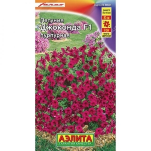 Петуния Джоконда Пурпурная