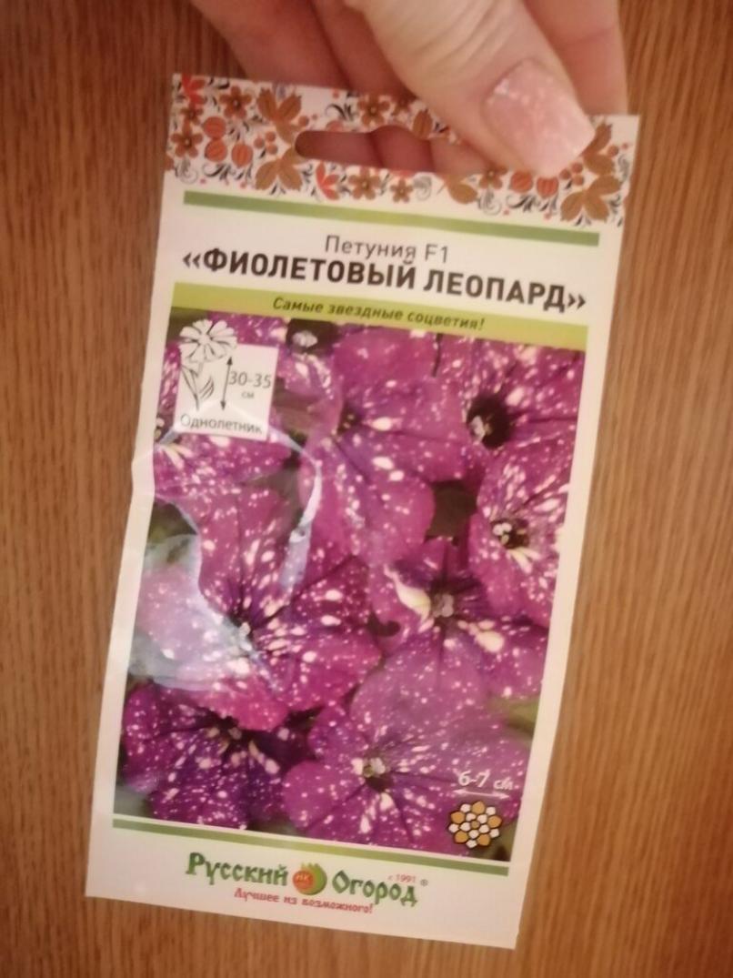 Петуния Фиолетовый леопард 2