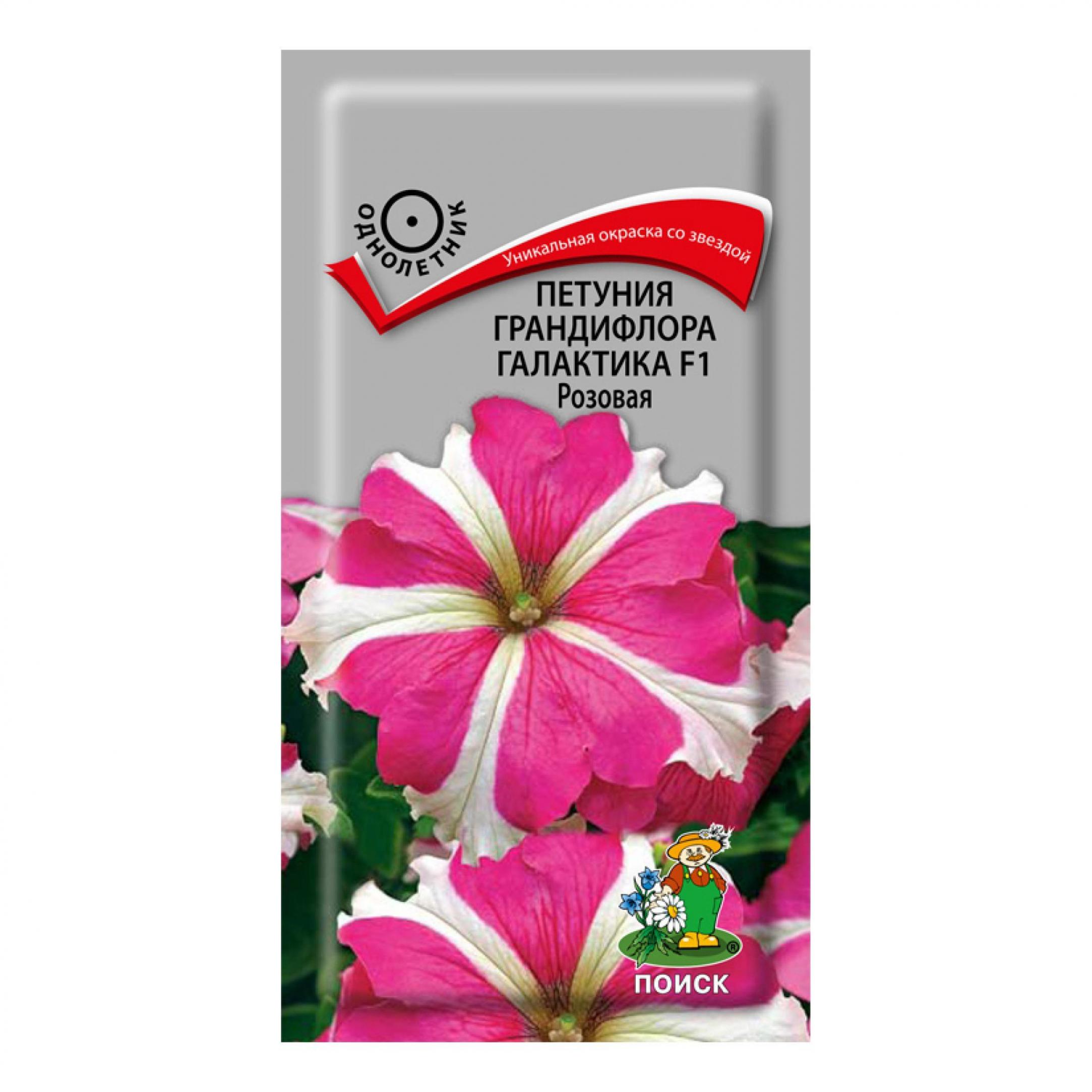 Петуния Галактика 2
