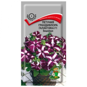 Петуния Галактика