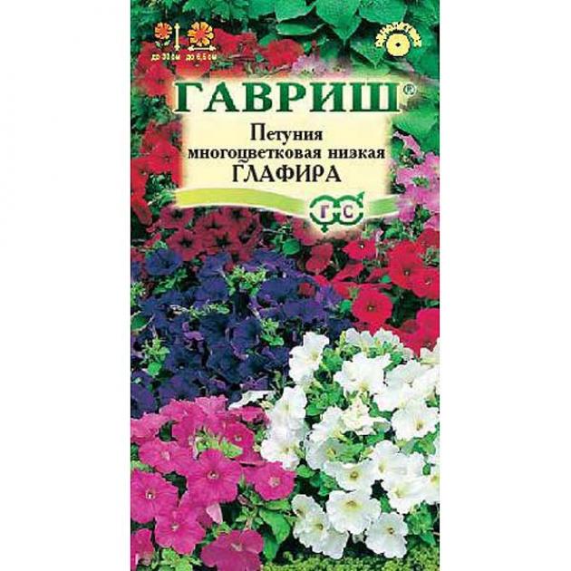 Петуния Глафира 3