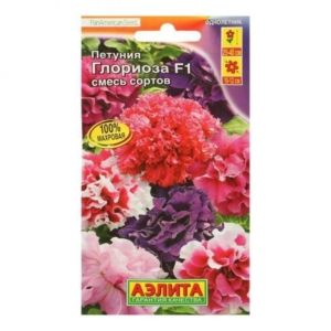 Петуния Глориоза