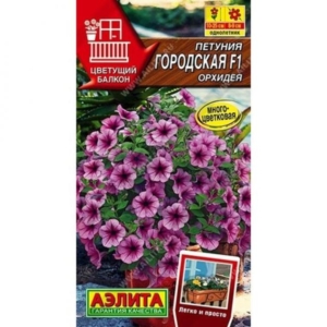 Петуния Городская Орхидея