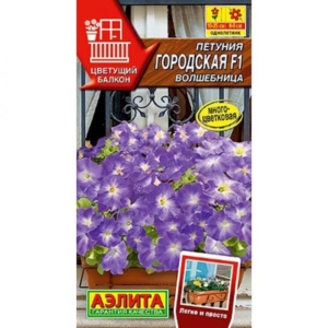 Петуния Городская Волшебница