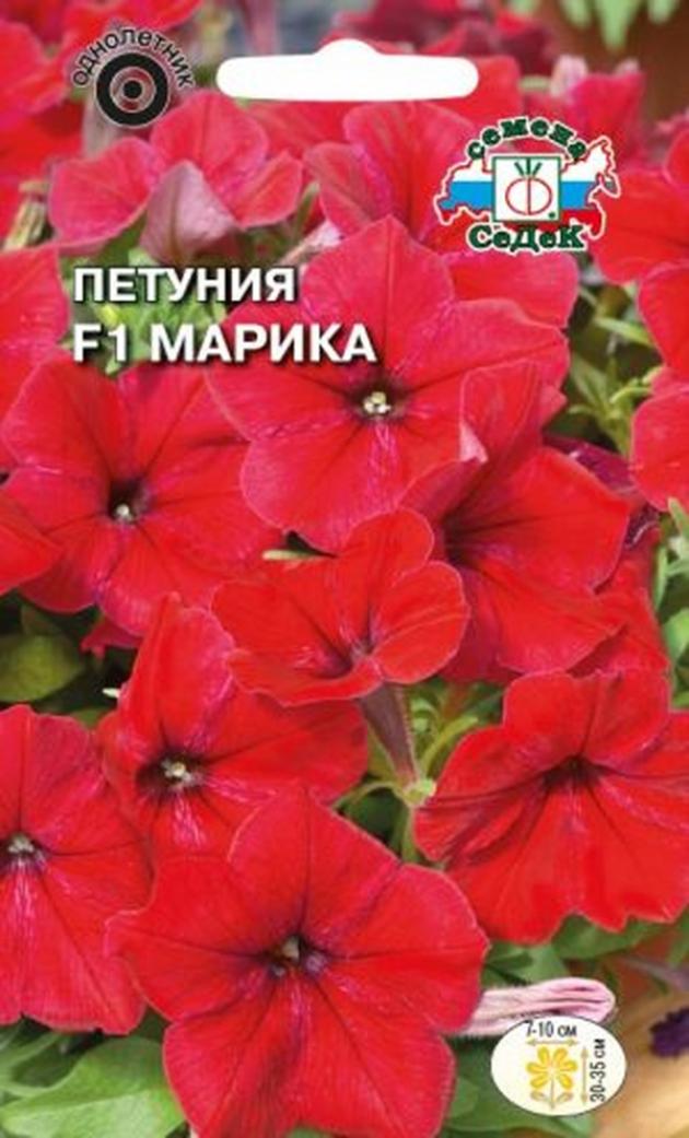 Петуния Марика 2