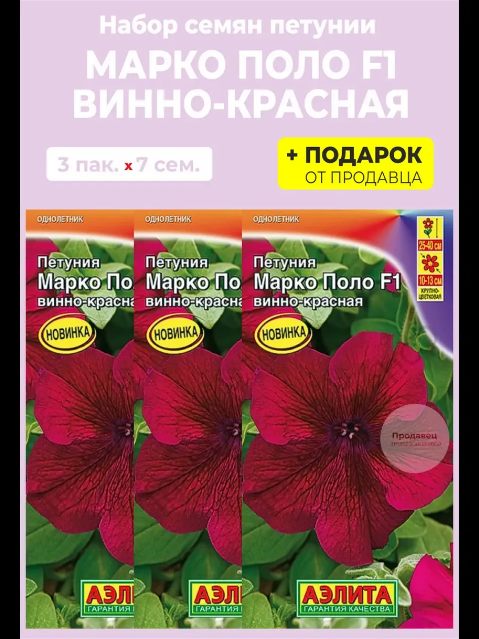 Петуния Марко Поло Винно-Красная 3