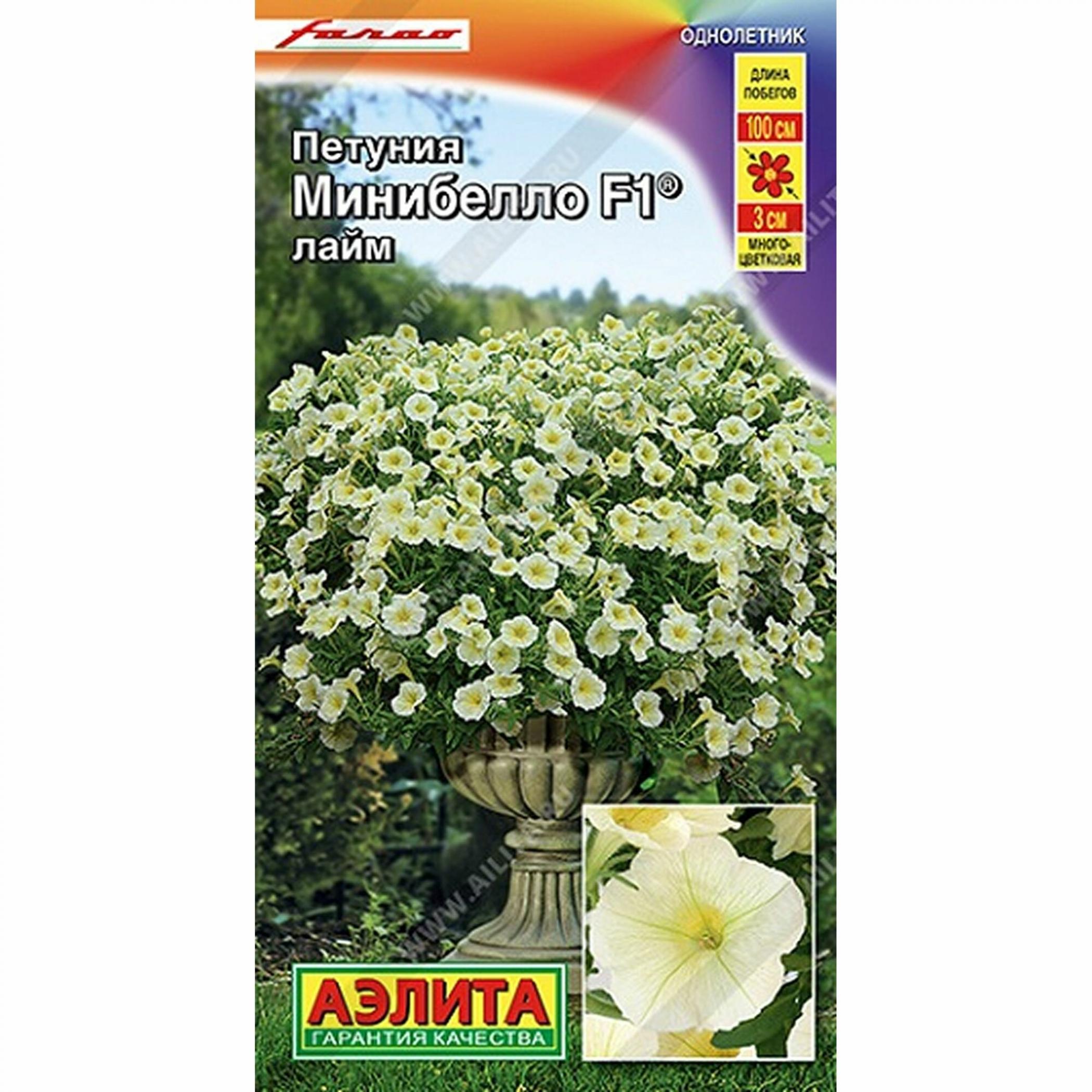 Петуния Минибелло Лайм 2