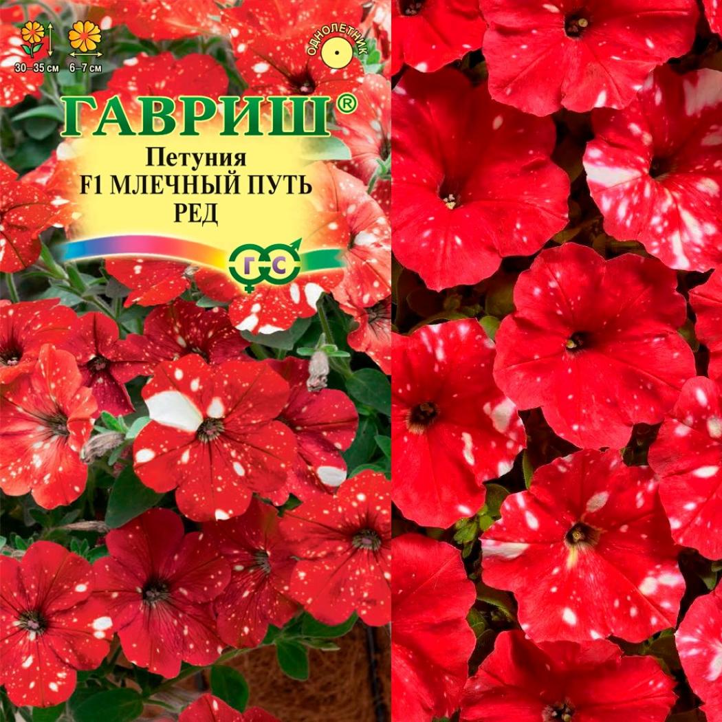Петуния Млечный Путь Ред 4